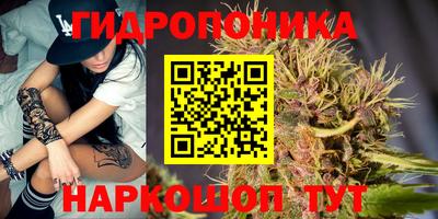 гидра Краснокаменск