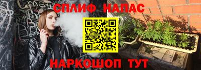 сатива Краснознаменск