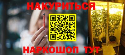 сатива Краснознаменск